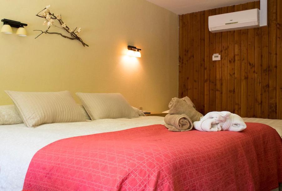 Hotel Y Termas Huife Termas de Huife Exterior photo