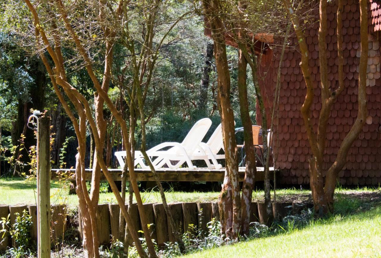Hotel Y Termas Huife Termas de Huife Exterior photo